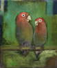 lovebirds